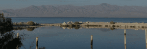 salton sea kathy kraas photo
