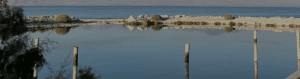 salton sea water foundation