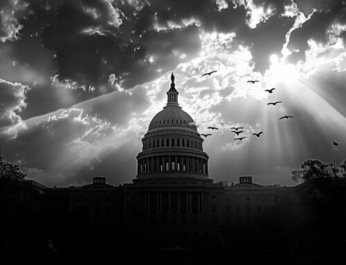 Fundraising in a Shifting Political Landscape: Tips for Managing in Times of Change.